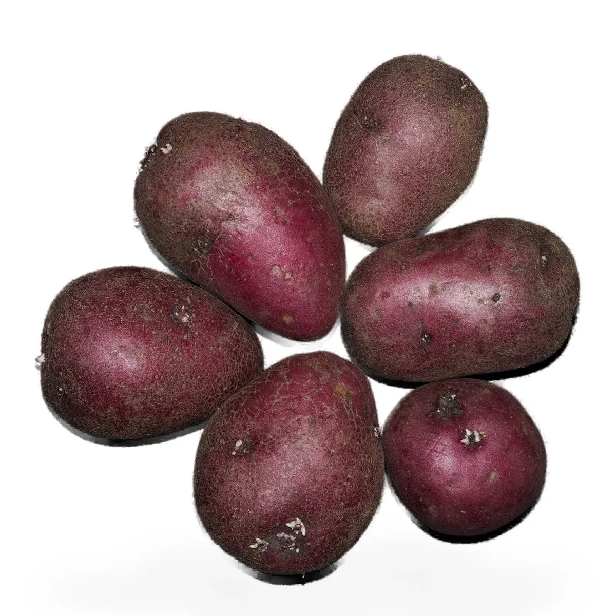 Potato