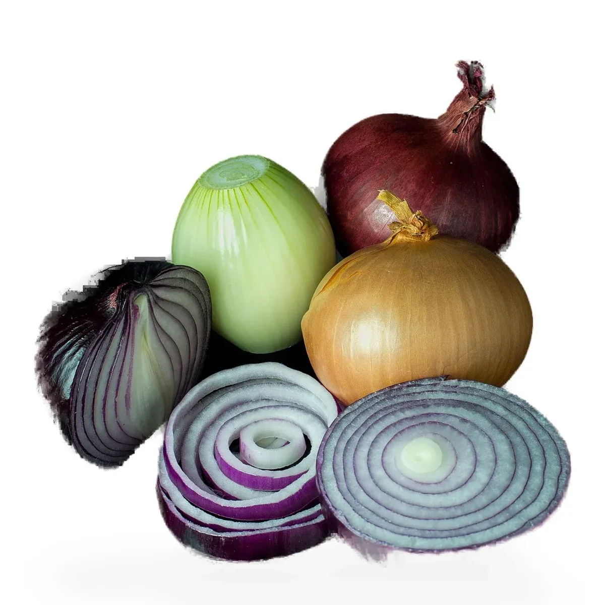 Onion