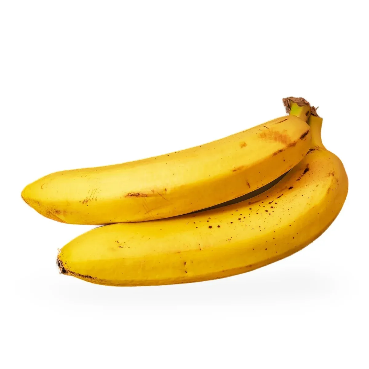 Banana Robusta