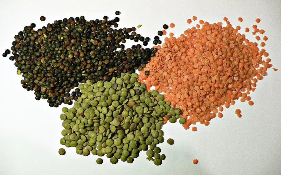 Lentils